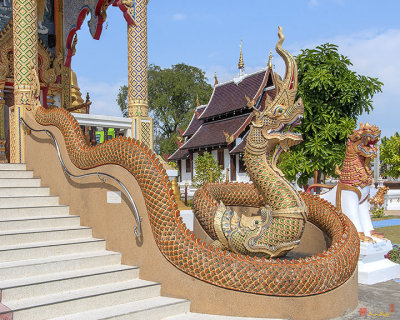 Wat San Pu Loei Phra Wihan Makara and Naga Guardian (DTHCM2263)