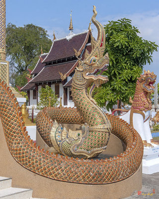Wat San Pu Loei Phra Wihan Makara and Naga Guardian (DTHCM2264)