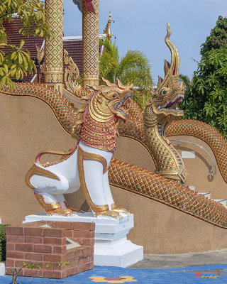 Wat San Pu Loei Phra Wihan Singha and Naga Guardians (DTHCM2265)