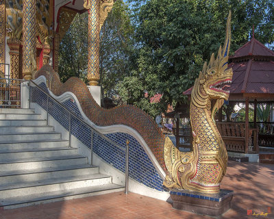 Wat Tamnak Phra Wihan Makara and Naga Guardian (DTHCM2310)