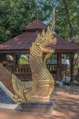 Wat Tamnak Phra Wihan Makara and Naga Guardian (DTHCM2311)