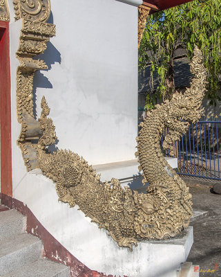 Wat Tamnak Phra Ubosot Makara and Naga Guardian (DTHCM2321)