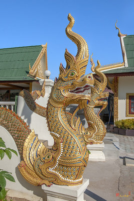 Wat Tong Kai Phra Wihan Makara and Naga Guardians (DTHCM2337)