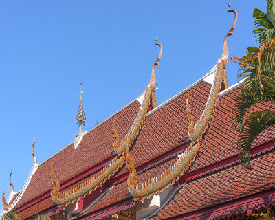 Wat Tong Kai Phra Wihan Roof (DTHCM2338)