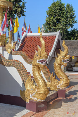 Wat Phra That Doi Kham Phra Chedi Makara and Naga Guardians (DTHCM2366)
