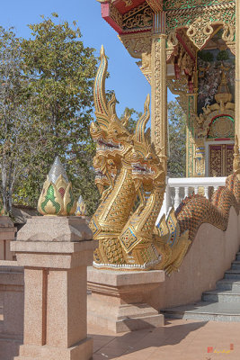 Wat Phra That Doi Kham Phra Ubosot Boundary Stone and Makara and Naga Guardian (DTHCM2384)