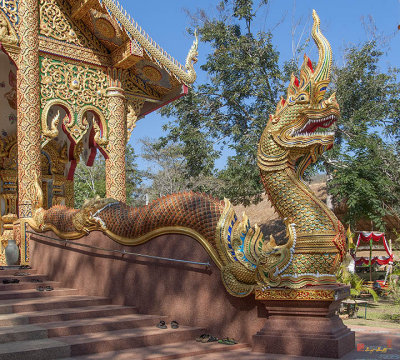 Wat Suan Prig Phra Wihan Makara and Naga Guardian (DTHCM2395)