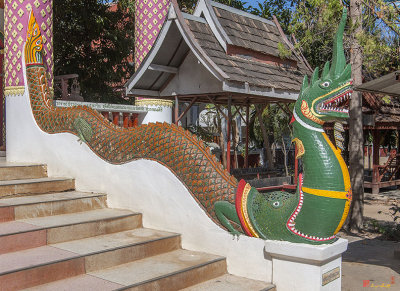 Wat Mai Huay Sai Phra Wihan Makara and Naga Guardian (DTHCM2402)