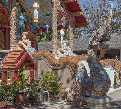 Wat Pongnoi Phra Wihan Makara and Naga Guardian (DTHCM2418)
