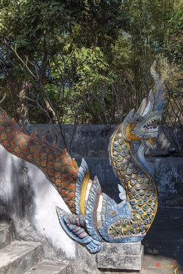Wat Pongnoi Phra Ubosot Makara and Naga Guardian (DTHCM2428)