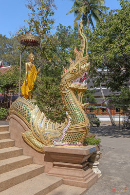 Wat Ram Poeng Phra Wihan Standing Buddha Image and Makara and Naga Guardian (DTHCM2435)
