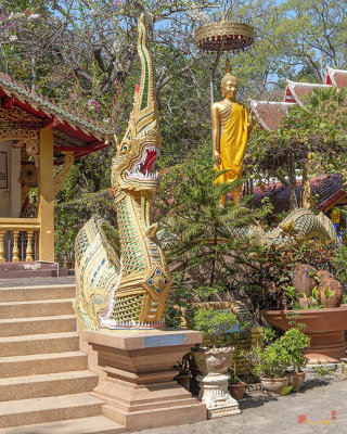 Wat Ram Poeng Phra Wihan Standing Buddha Image and Makara and Naga Guardian (DTHCM2436)