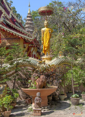 Wat Ram Poeng Phra Wihan Standing Buddha Image (DTHCM2437)