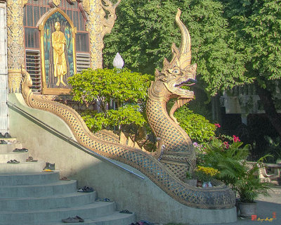 Wat Tha Satoi Phra Wihan Makara and Naga Guardian (DTHCM2465)