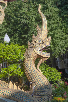 Wat Tha Satoi Phra Wihan Makara and Naga Guardian (DTHCM2466)