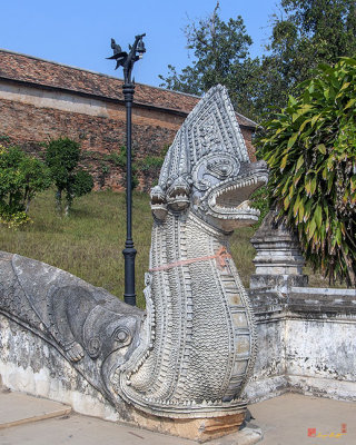 Wat Phra That Lampang Luang Naga Temple Stairway Guardian (DTHLA0030)