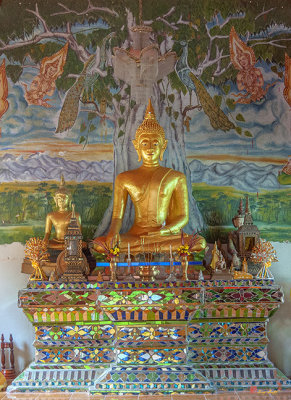 Wat Pa Chai Mongkhon Phra Ubosot Principal Buddha Image (DTHLA0127)