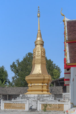 Wat Tha Pha Phra Chedi (DTHLA0139)