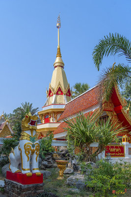Wat Tha Pha Rattanakosin Chedi (DTHLA0142)