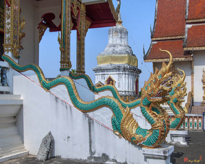 Wat Sob Tan Phra Ubosot Makara and Naga Guardians (DTHLA0174)