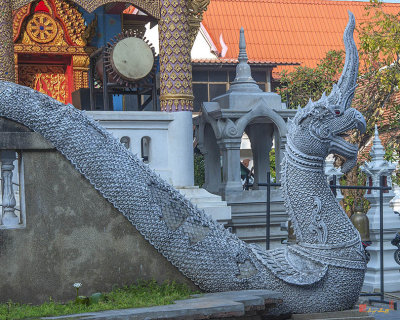 Wat Puack Chang Phra Wihan Naga Guardian (DTHCM2513)