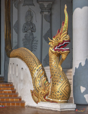 Wat Chedi Luang Phra Wihan Makara and Naga Guardian (DTHCM2532)
