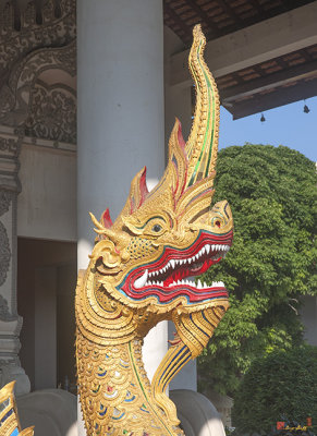 Wat Chedi Luang Phra Wihan Naga Guardian (DTHCM0041)