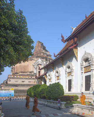 Wat Chedi Luang Phra Wihan and Phra Chedi Luang (DTHCM0046)
