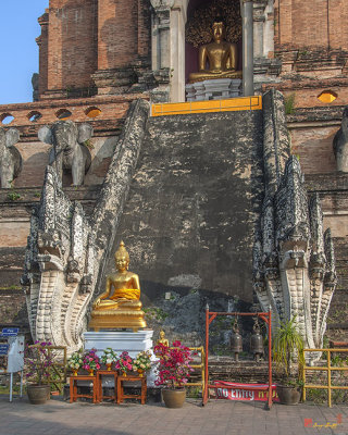 Wat Chedi Luang Phra Chedi Luang Five-headed Naga Guardians (DTHCM2535)