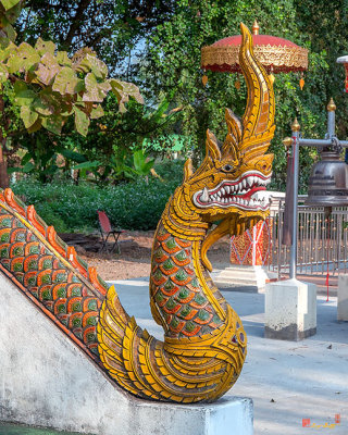 Wat Khantharot (Wat Pa Sang) Phra Wihan Naga Guardian (DTHCM2627)