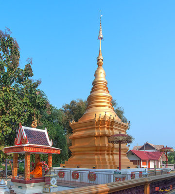 Wat Khantharot (Wat Pa Sang) Phra Chedi (DTHCM2628)