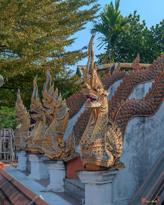 Wat Nong Tong Phra Wihan Makara and Naga Guardians (DTHCM2651)