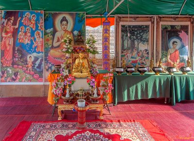 Wat Nong Tong Monk Image Shrine (DTHCM2656)