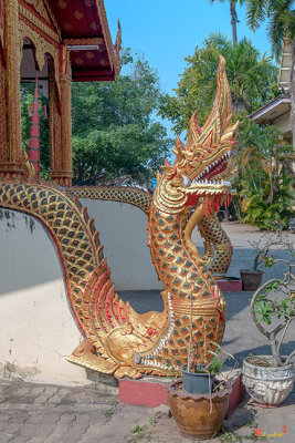 Wat Sangkaram Phra Wihan Makara and Naga Guardian (DTHLU0409)