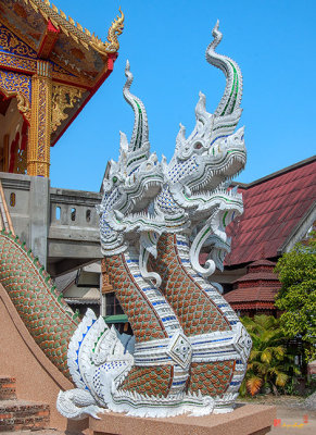 Wat Kulek Phra Wihan Makara and Naga Guardian (DTHLU0449)