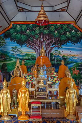 Wat Phan Ta Koen Phra Ubosot Buddha Images (DTHLU0482)