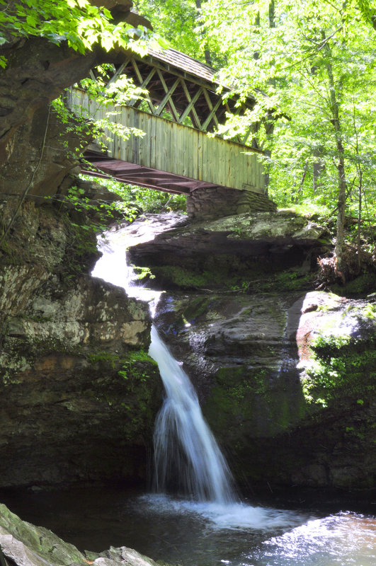 Angel Falls 
