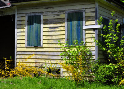Old Resort 