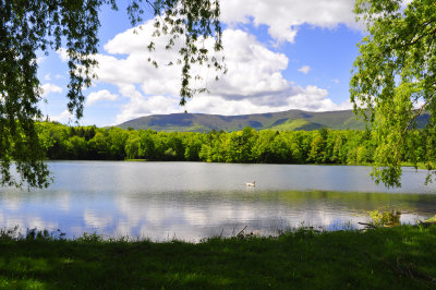 Scenery 
