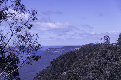 Blue Mountains 