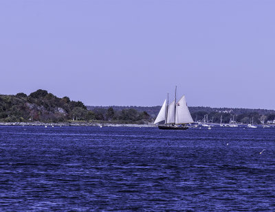 _DSC5252.jpg