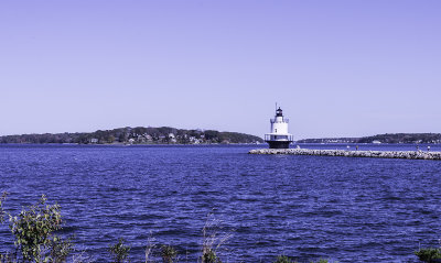 _DSC5262.jpg