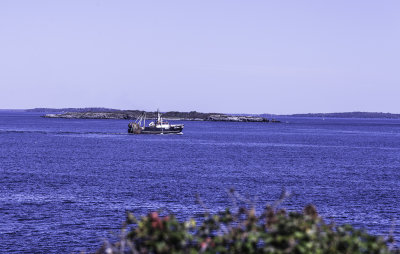 _DSC5280.jpg