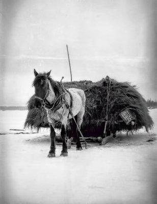 Hauling Hay