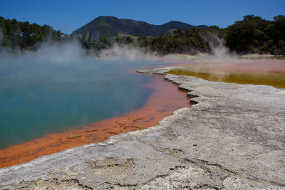 Champagne Pool
