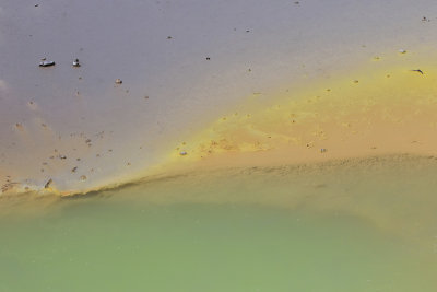 Champagne Pool