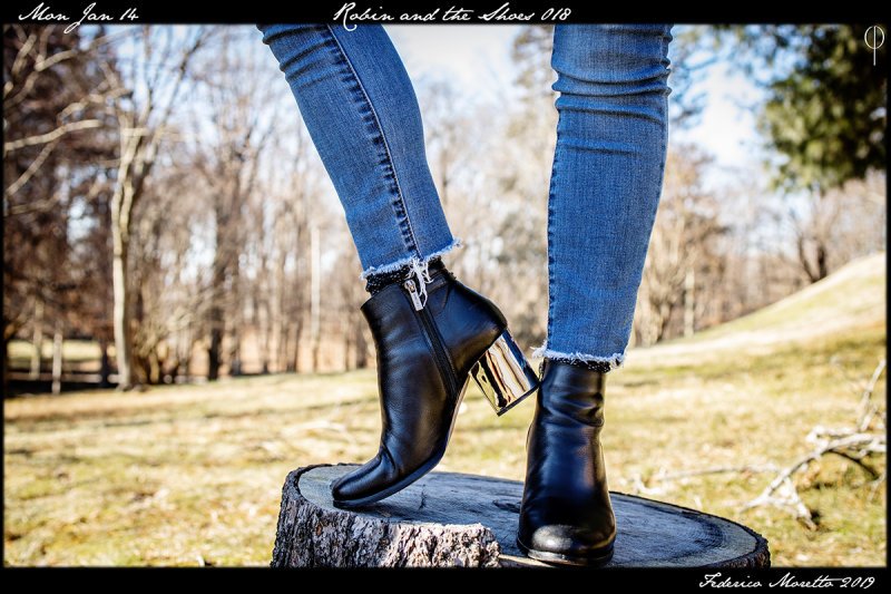 Robin_shoes_018.jpg