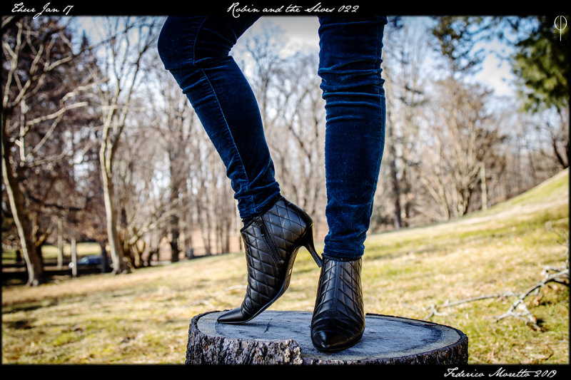 Robin_shoes_022.jpg