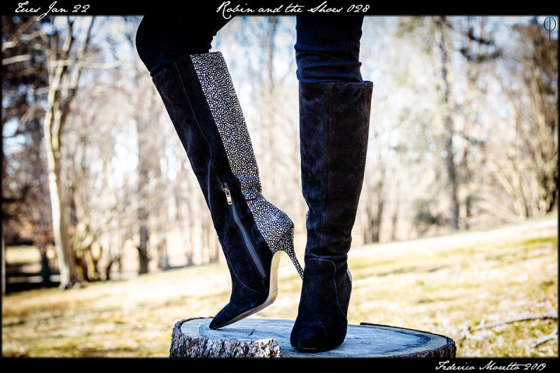 Robin_shoes_028.jpg