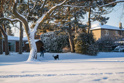 After Snowfall 